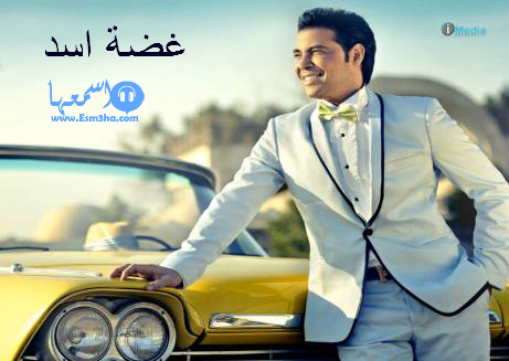 كلمات اغنية سعد الصغير واحمد سعد عضة اسد 2014 كاملة